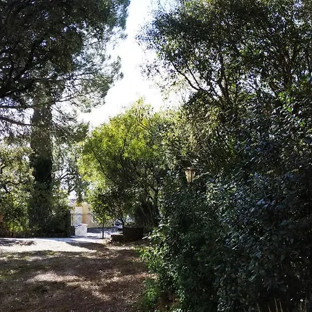 Les Trois Chenes, Piscine Privee & Vue Sur Golfe De Saint Tropez Вилла Лес-Иссамбр