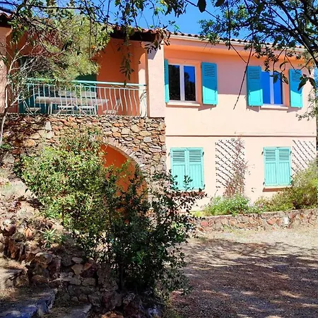 Villa Les Trois Chenes, Piscine Privee & Vue Sur Golfe De Saint Tropez *